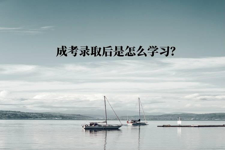 成考錄取后是怎么學(xué)習(xí)？