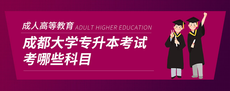 成都大學專升本考試考哪些科目