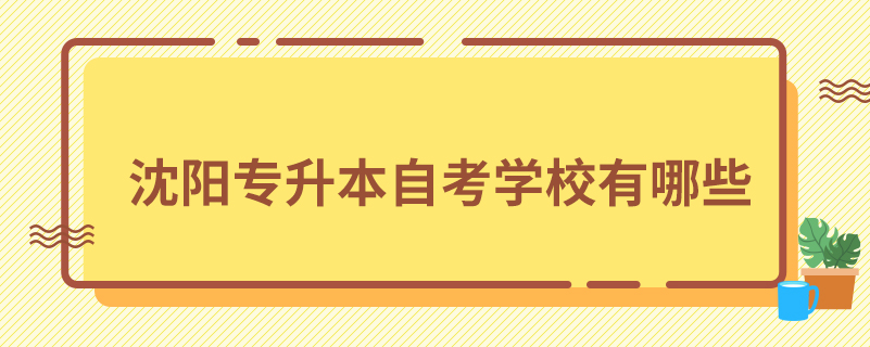 沈陽(yáng)專(zhuān)升本自考學(xué)校有哪些