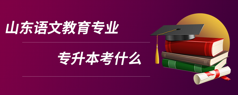 山東語文教育專業(yè)專升本考什么