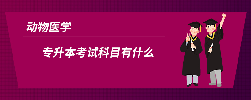 動物醫(yī)學專升本考試科目有什么