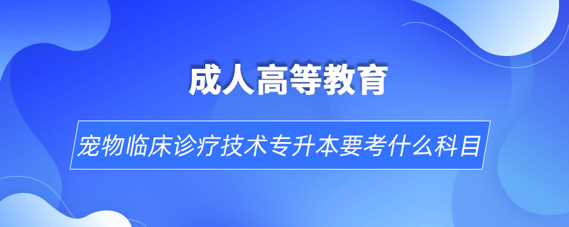 寵物臨床診療技術(shù)專升本要考什么科目