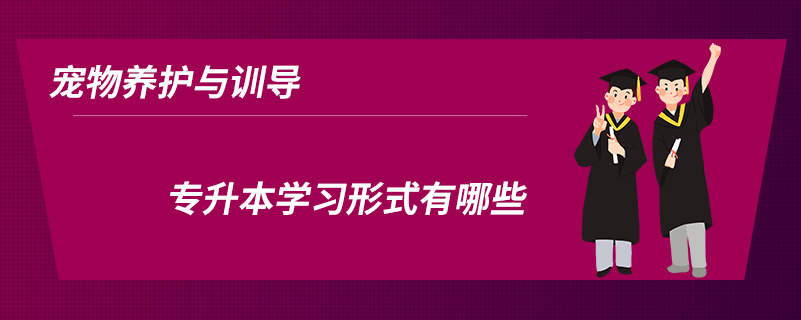 寵物養(yǎng)護(hù)與訓(xùn)導(dǎo)專(zhuān)升本學(xué)習(xí)形式有哪些