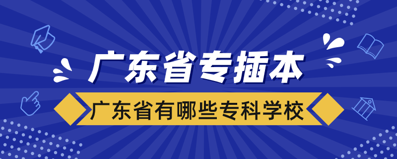 廣東省有哪些?？茖W(xué)校可以專插本