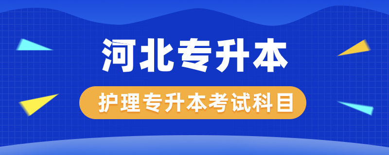 河北護理專升本考什么