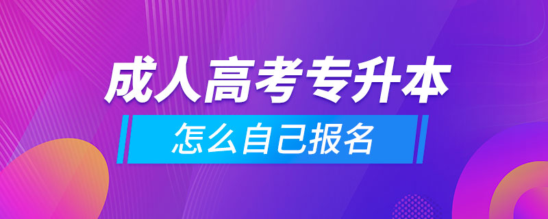 成人高考專升本怎么自己報名