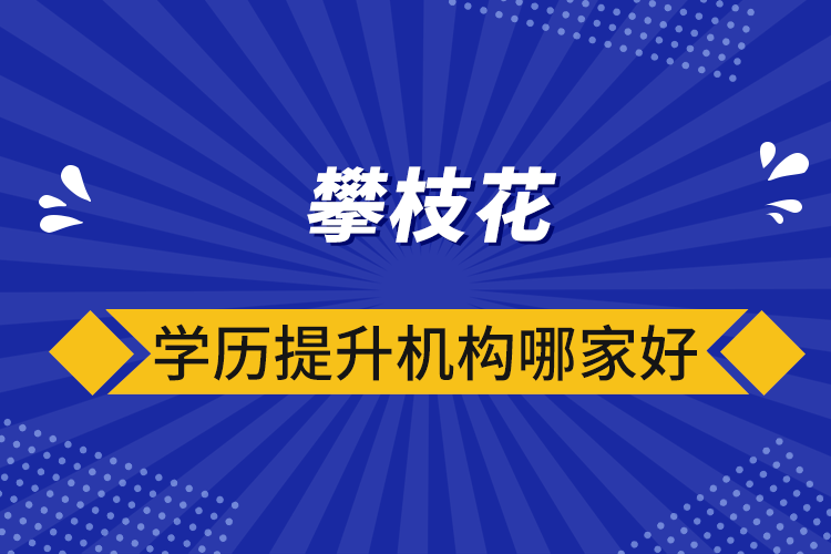 攀枝花學(xué)歷提升機構(gòu)哪家好