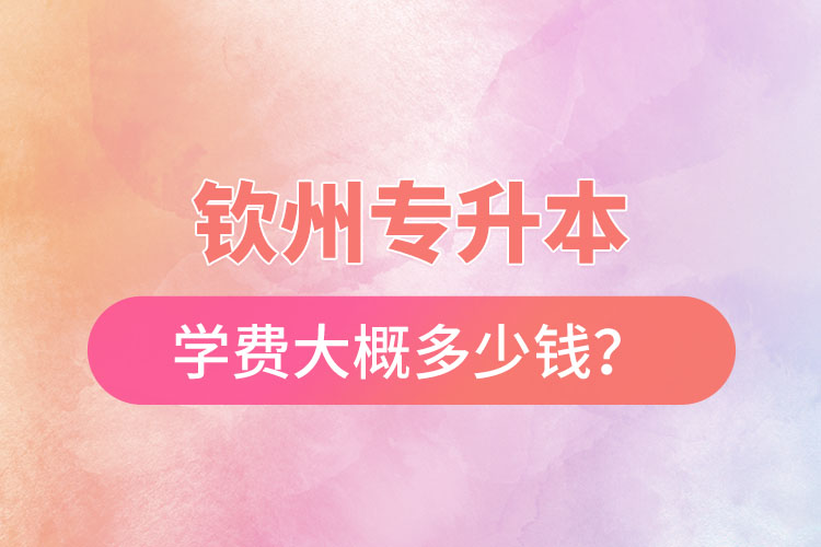 欽州專升本學費大概多少錢？