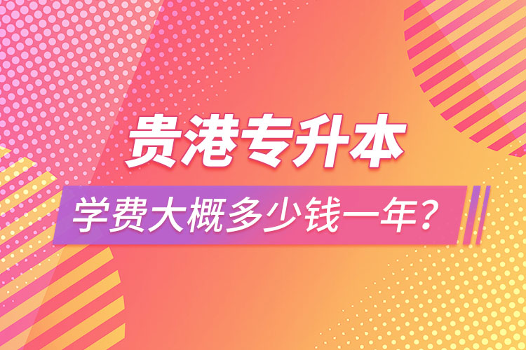 貴港專升本學費大概多少錢一年？