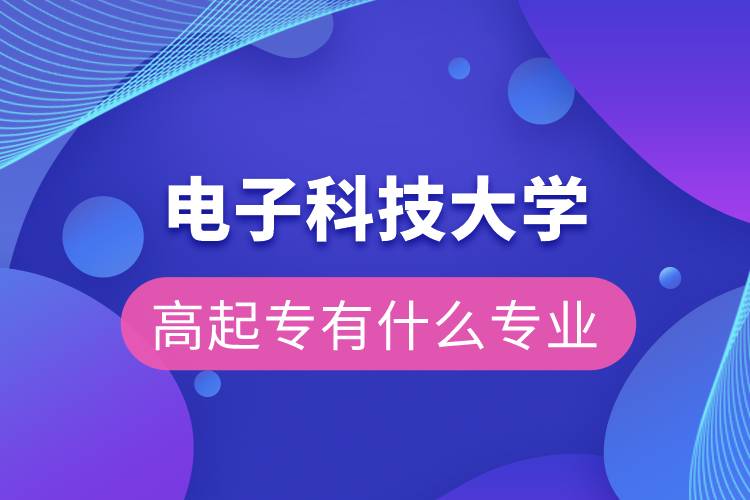 電子科技大學高起本有什么專業(yè)