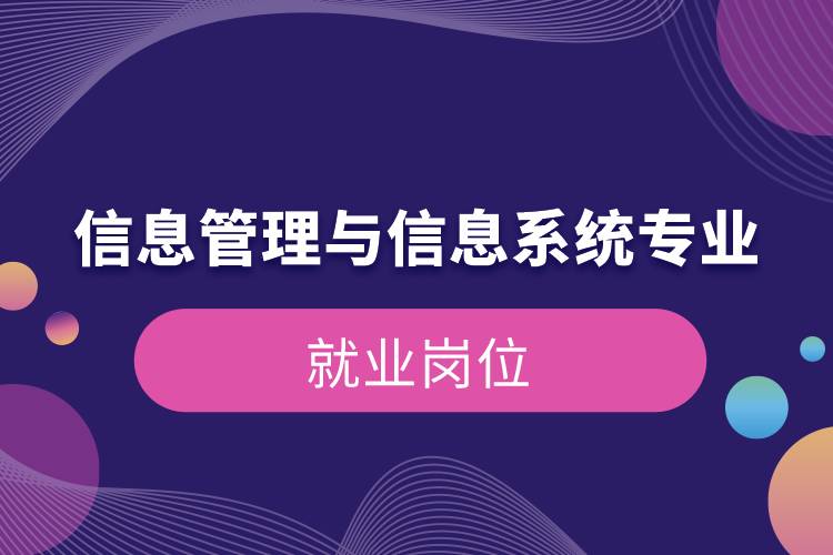 信息管理與信息系統(tǒng)專業(yè)就業(yè)崗位