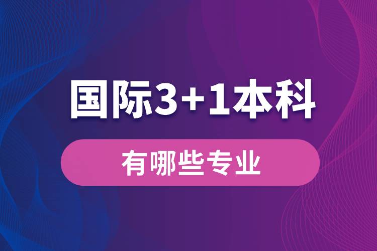 國際3+1本科有哪些專業(yè)