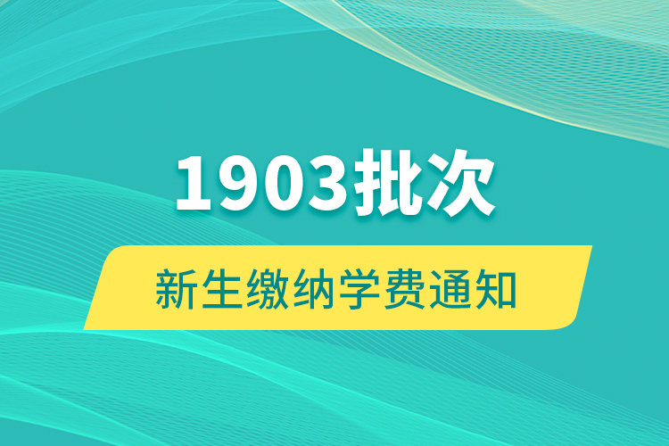 1903批次新生繳納學(xué)費(fèi)通知