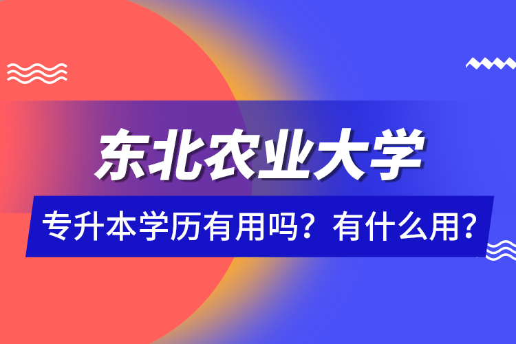 東北農(nóng)業(yè)大學(xué)專升本學(xué)歷有用嗎？有什么用？