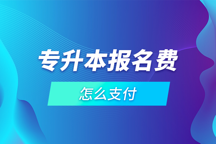 專升本報名費怎么支付