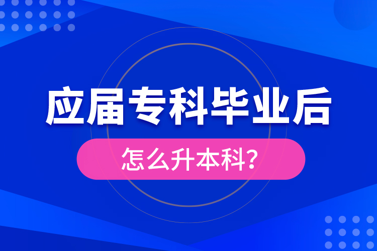 應(yīng)屆?？飘厴I(yè)后怎么升本科？