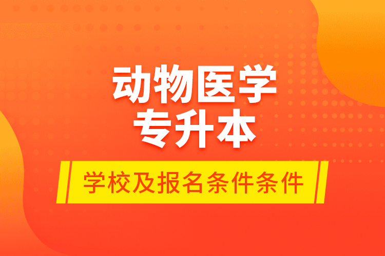 動物醫(yī)學專升本學校及報名條件