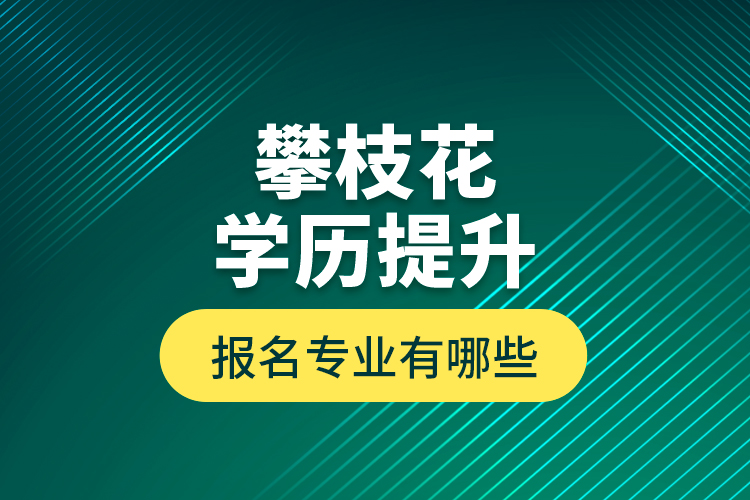 攀枝花學(xué)歷提升報(bào)名專業(yè)有哪些？