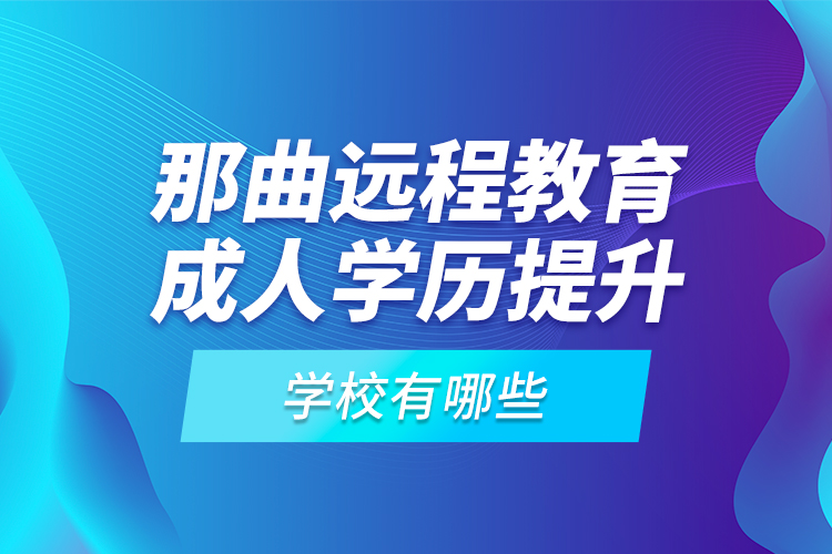 那曲遠程教育成人學歷提升學校有哪些？