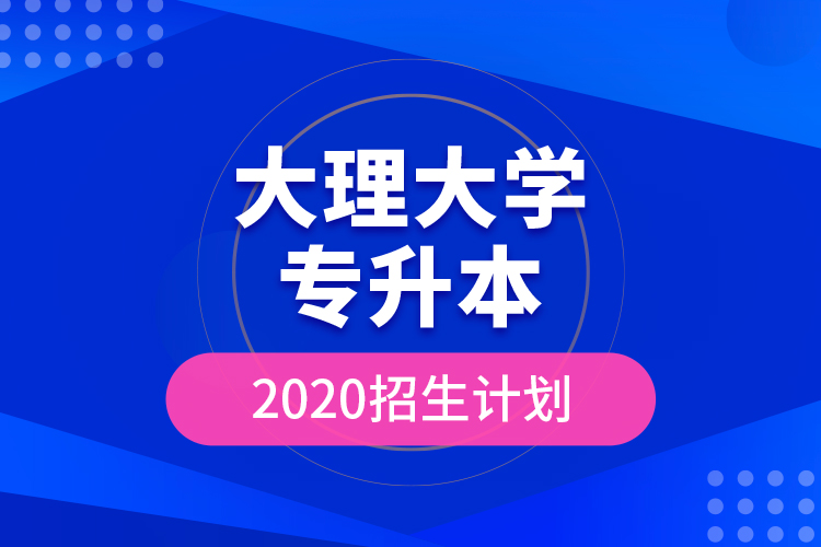 大理大學(xué)專升本2020招生計(jì)劃