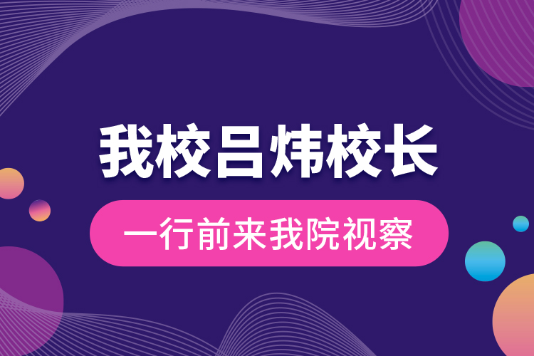 我校呂煒校長一行前來我院視察