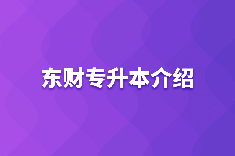 東財(cái)專升本介紹